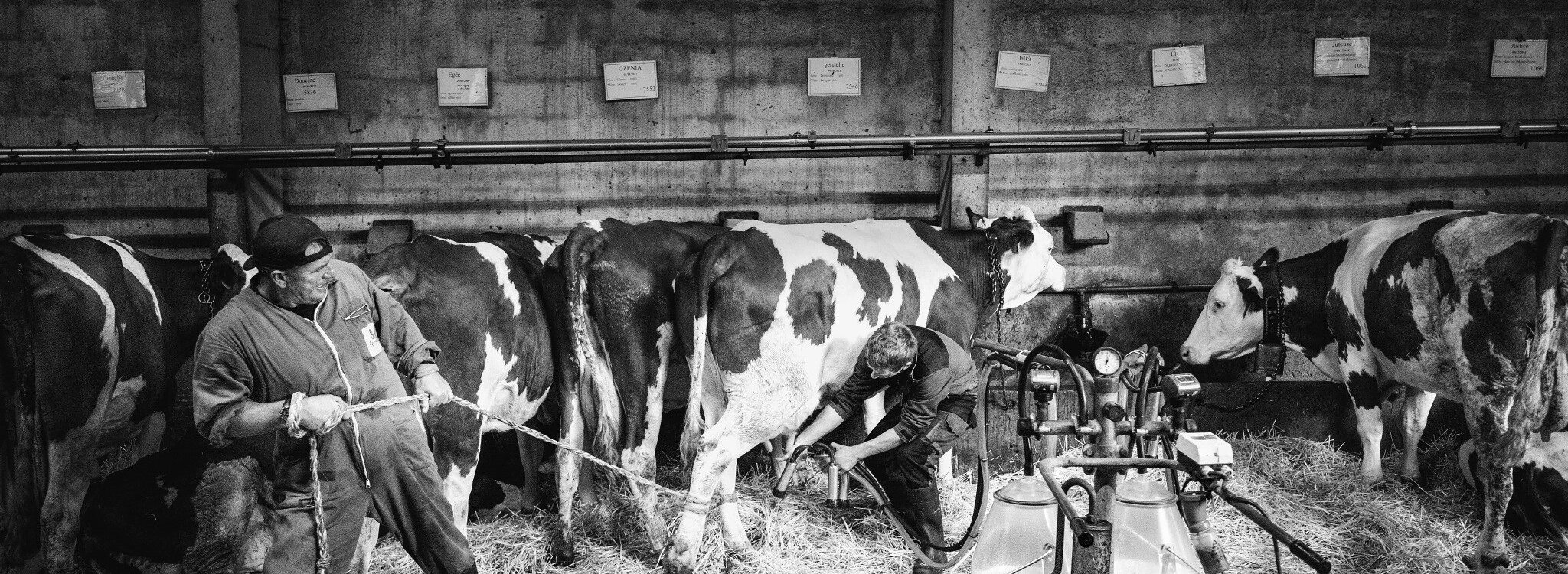 Fromagerie Isola 2000