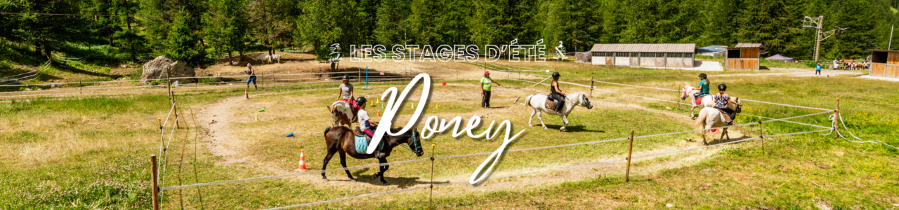 Stage Poney, Poneys Activités FaIicon, stages d'été d'Isola 2000