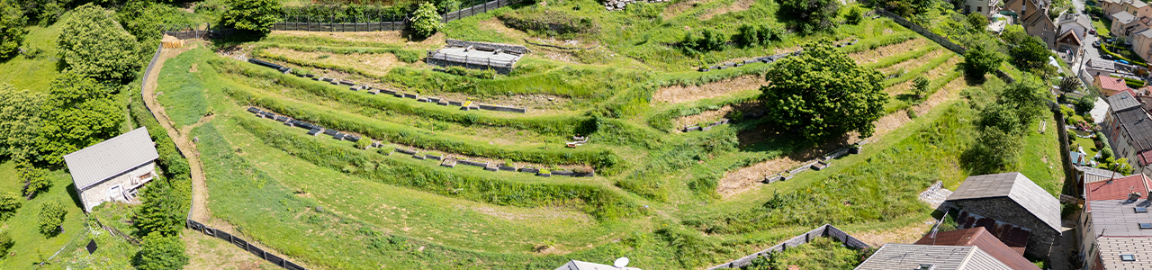 conservatoire-jardin-cover