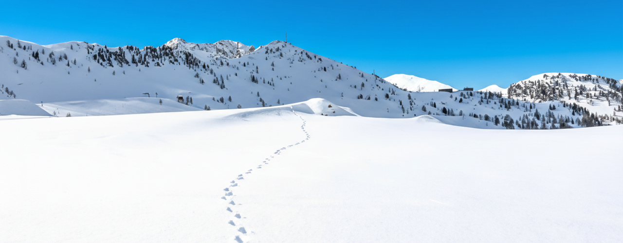 rando-raquettes-cover